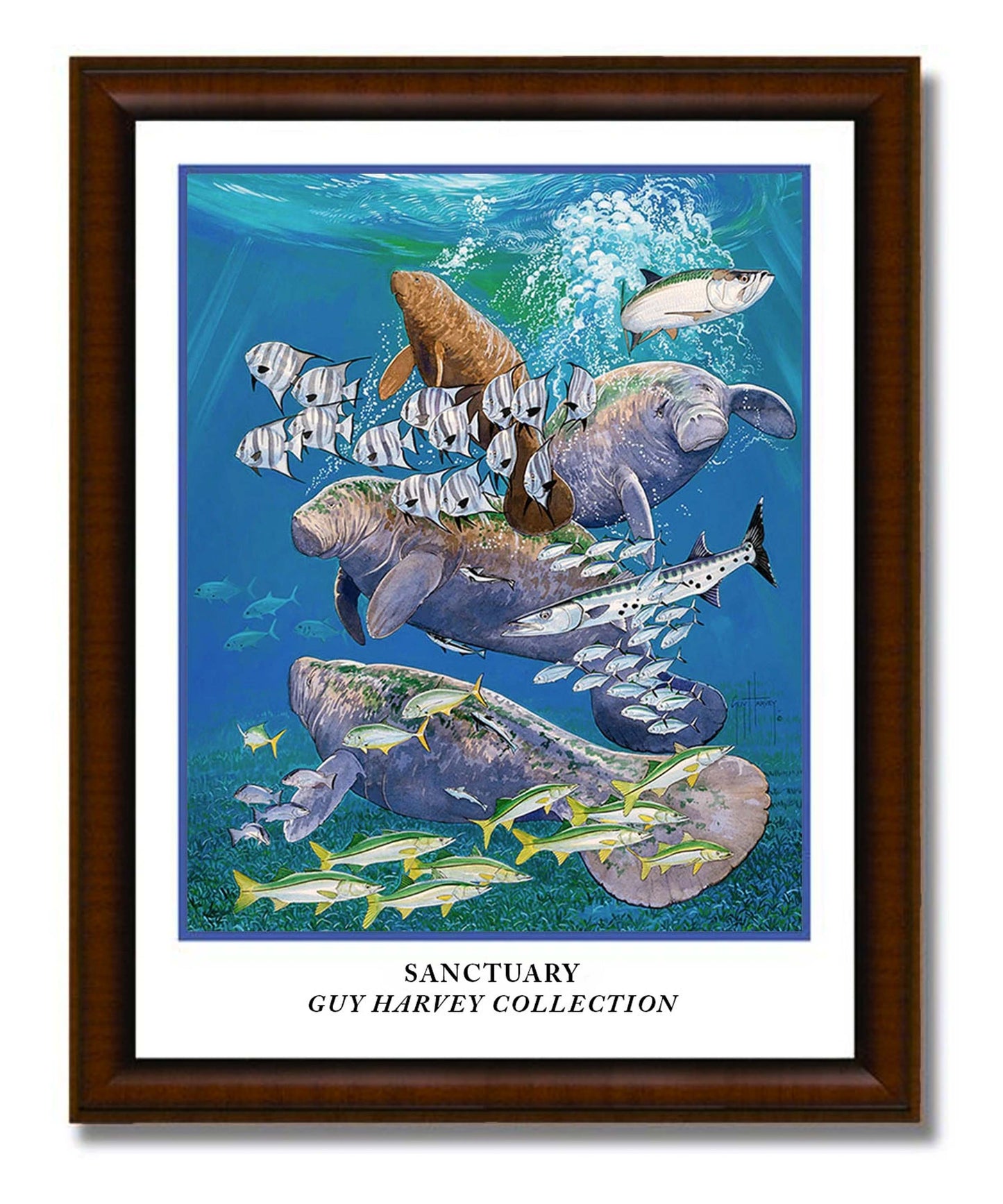 Sanctuary Poster Framed View 1