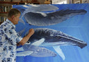 ADVOCATE FOR THE SEAS