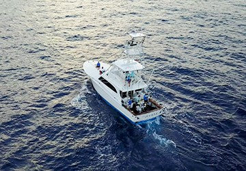 GHOF TEAM DIVES IN AND FILMS FREE SWIMMING PACIFIC BLUE MARLIN.