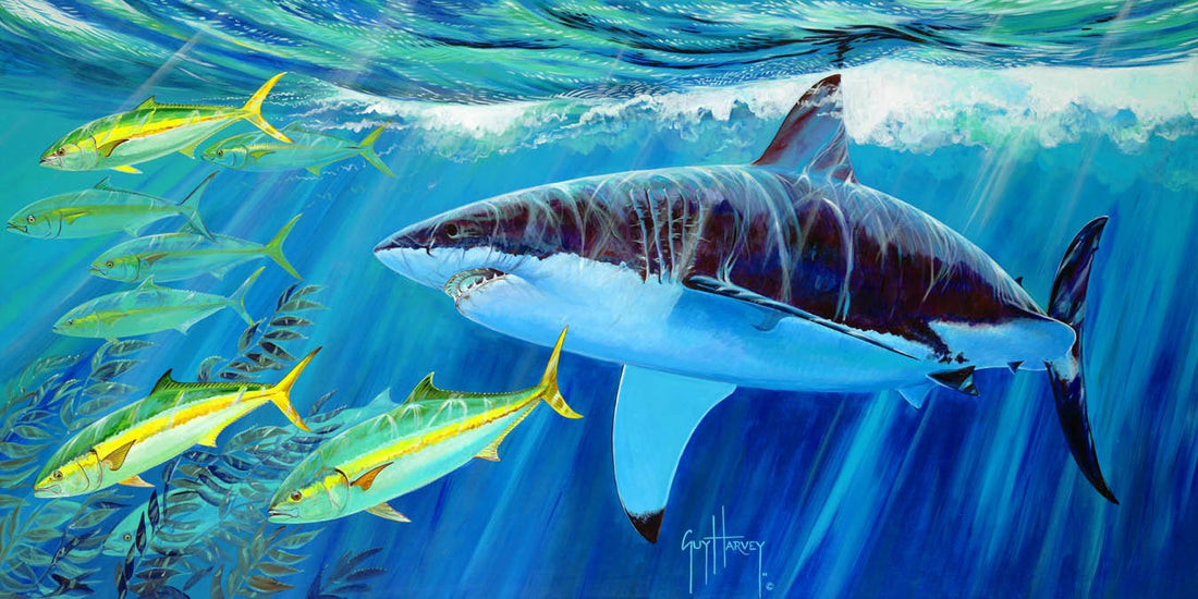 GUY HARVEY OCEAN FOUNDATION RECEIVES $300,000 DONATION TO SUPPORT SHARK RESEARCH