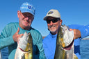 Guy Harvey and Bill Boyce with a pair of Yellowtails