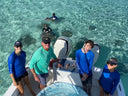 Has Covid-19 affected Stingray City Sandbar?