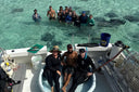Inside Guy Harvey's 23-Year Stingray Census