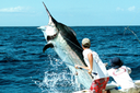 Tropic Star Lodge Black Marlin 20th Anniversary