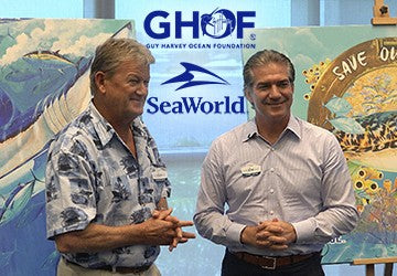 SEAWORLD AND GUY HARVEY PARTNER FOR OCEAN HEALTH AND SHARK CONSERVATION