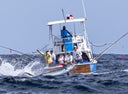 Marlin Tagging Adventure at Tropic Star Lodge trip #6, 2025