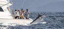 A fishing crew hooked on a marlin