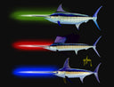 'May the Fish Be With You'