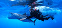 Guy Harvey with a tagged Mako Shark