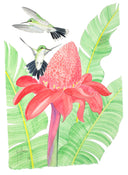 "Vervain Hummingbird II" Original