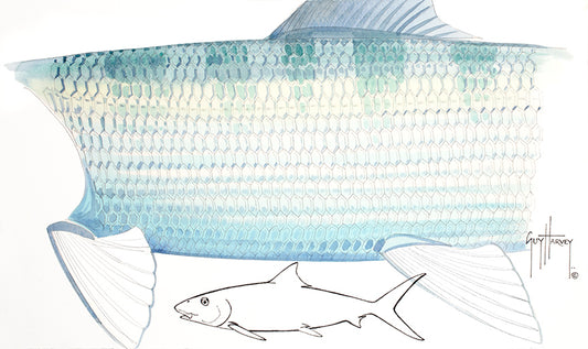 "Bonefish Skin" Original