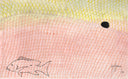 "Mutton Snapper Skin" Original