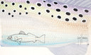 "Spotted Sea Trout Skin" Original