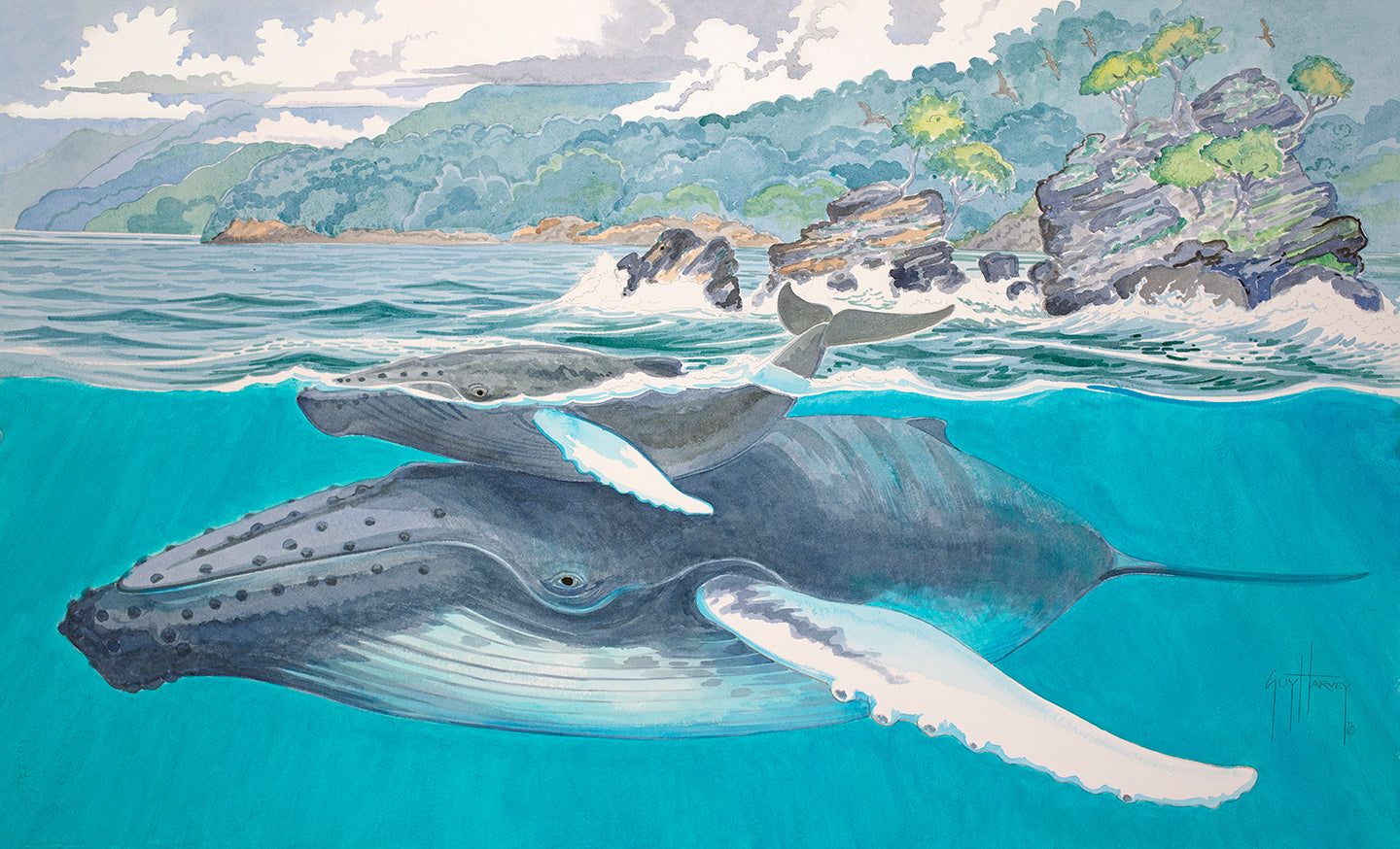 "Humpbacks at Carolinas" Original