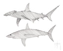 "Great Hammerhead and Mako" Original