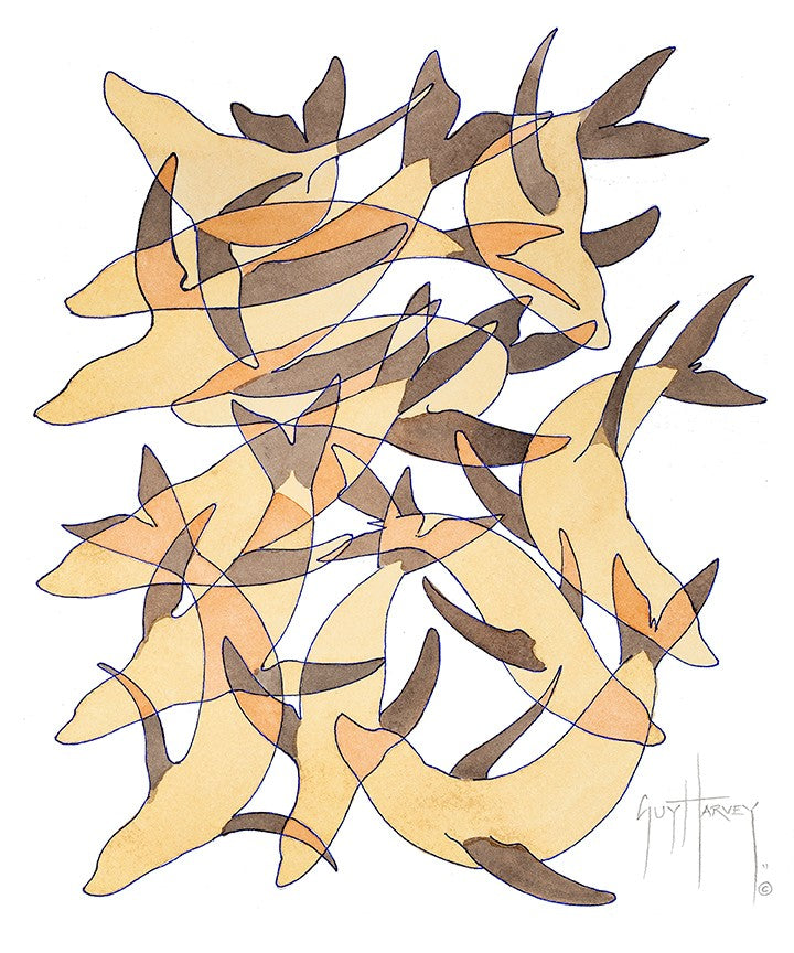 "Sea Lion Camo" Original