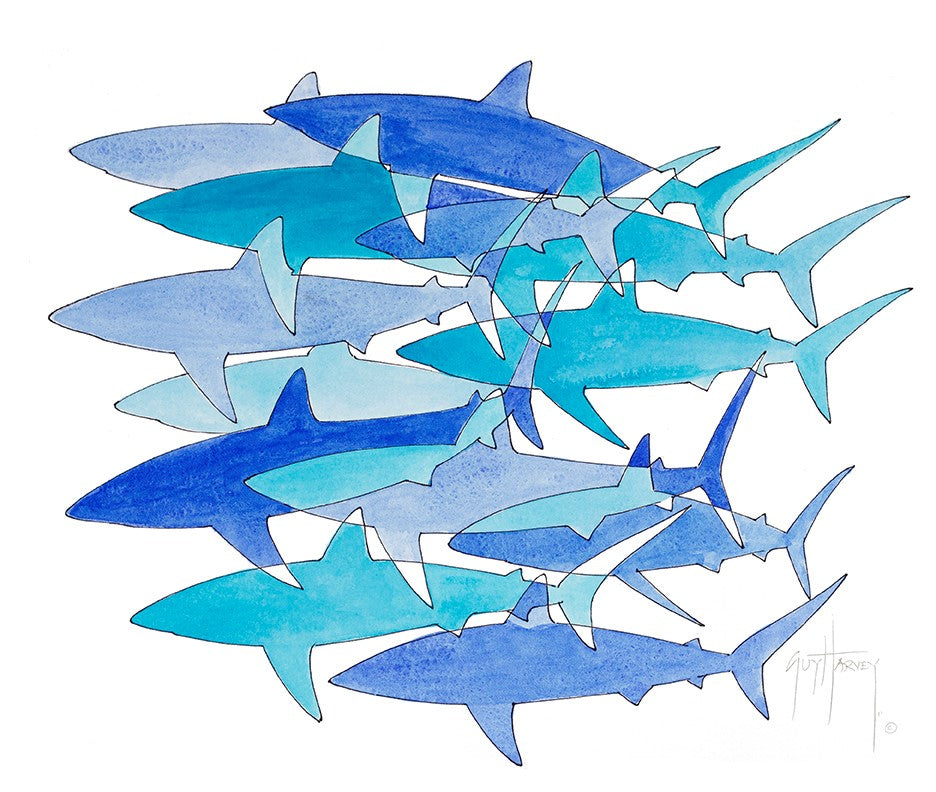 "Shark Camo" Original