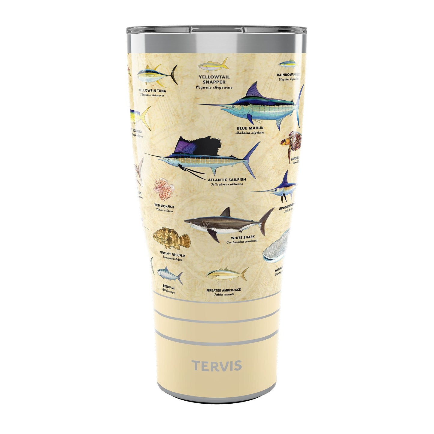 Tervis Charts