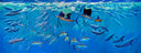 "Commocean" Original
