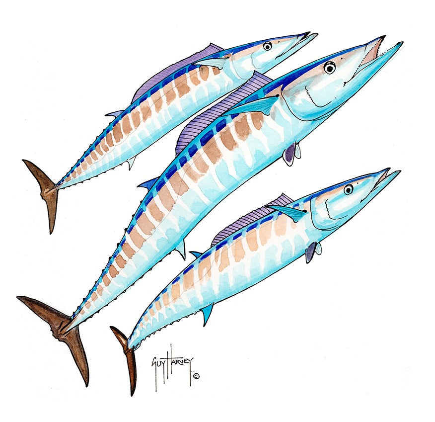 "Three Hoos" Original