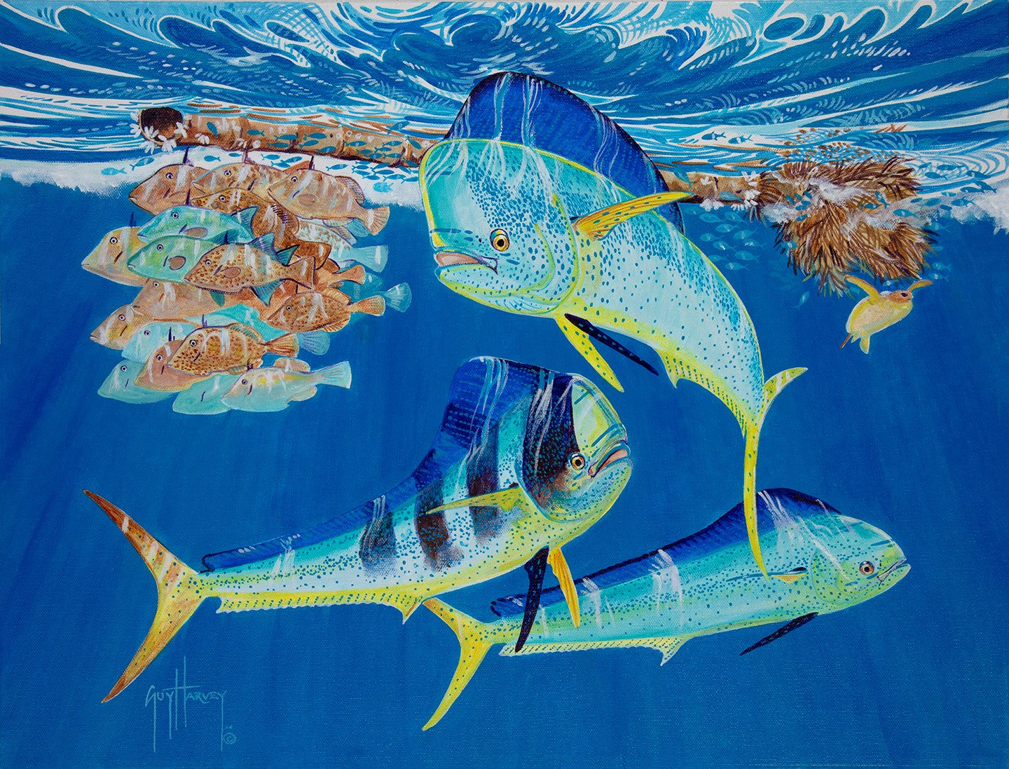 Guy Harvey Original Artwork