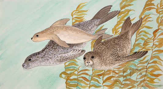 "Harbor Seals" Original