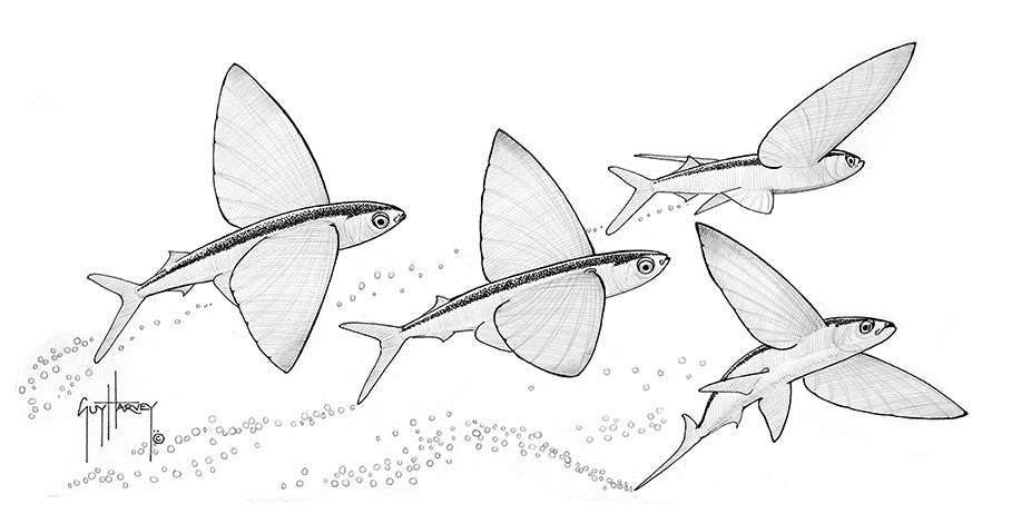 "Up, Up and Away!" Original