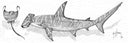 "Hammerhead and Stingray Stipple" Original