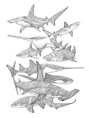 "Shark Stipple Collage" Original
