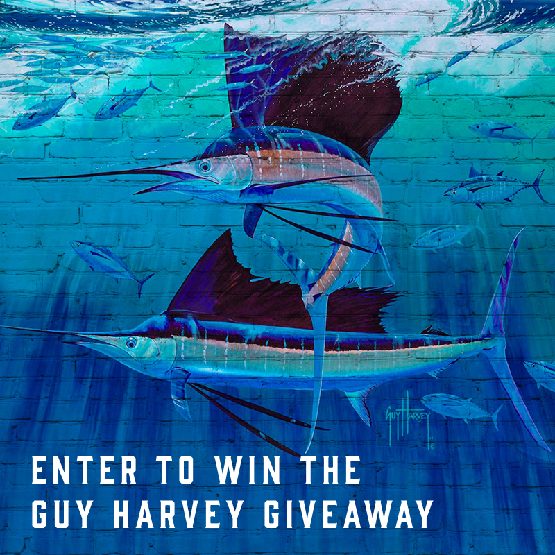 Enter to Win a Guy Harvey Prize Pack!