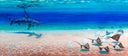 Sharks and stingrays swimming near a sandy ocean floor with clear blue water.