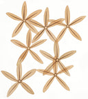 "Seven Starfish" Original