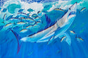 "Roller Mako" Original