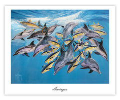Amingos_limited_edition_Litho_