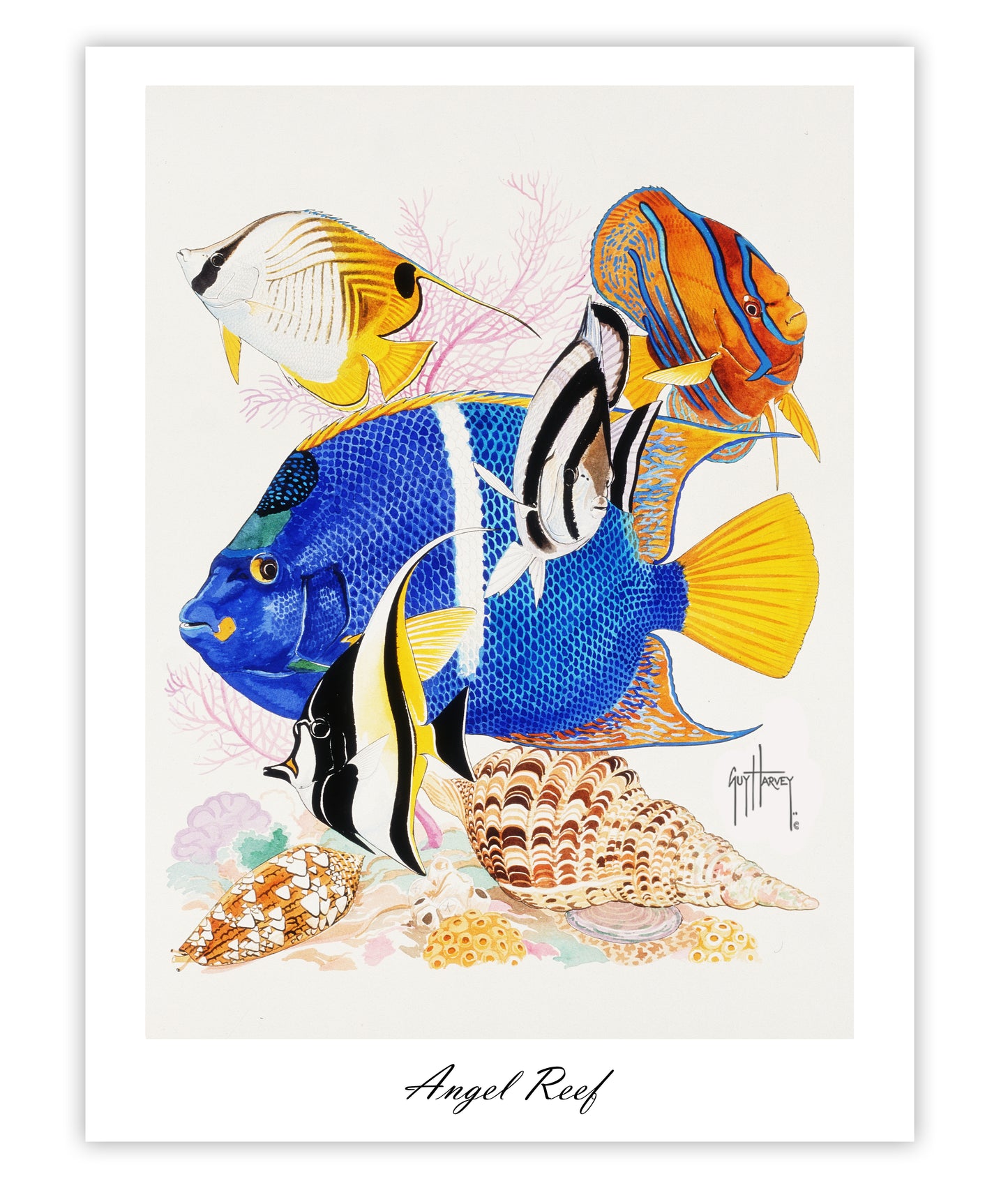 "Angel Reef - King Angel" Limited Edition Lithograph