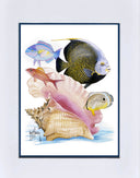 "French Angel and Conch" Mini Print