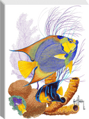 "Angelfish Duet" Small Canvas Art