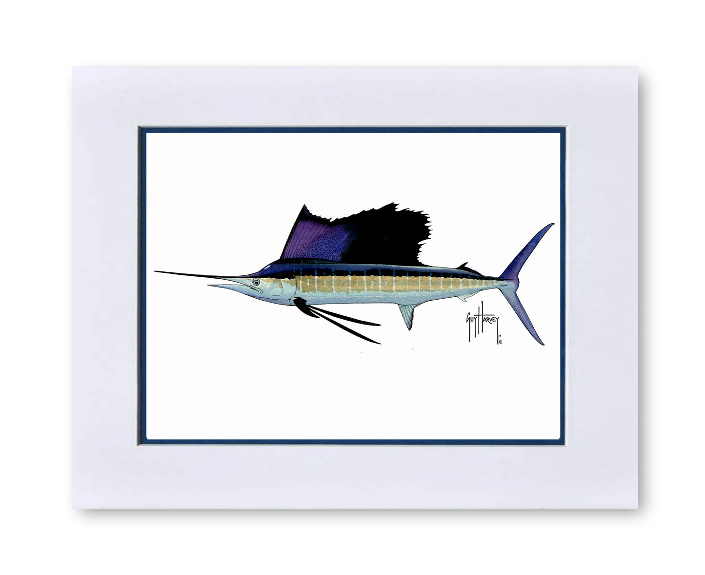 "Atlantic Sailfish" Grande Mini Print