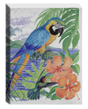 "Blue & Gold Macaw" Limited Edition Canvas Art