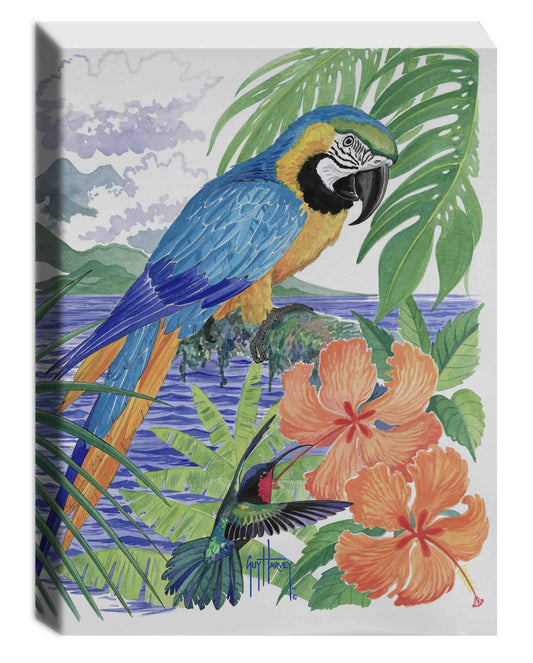 "Blue & Gold Macaw" Limited Edition Canvas Art