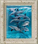 "Bottlenose Dolphins" Tile Art