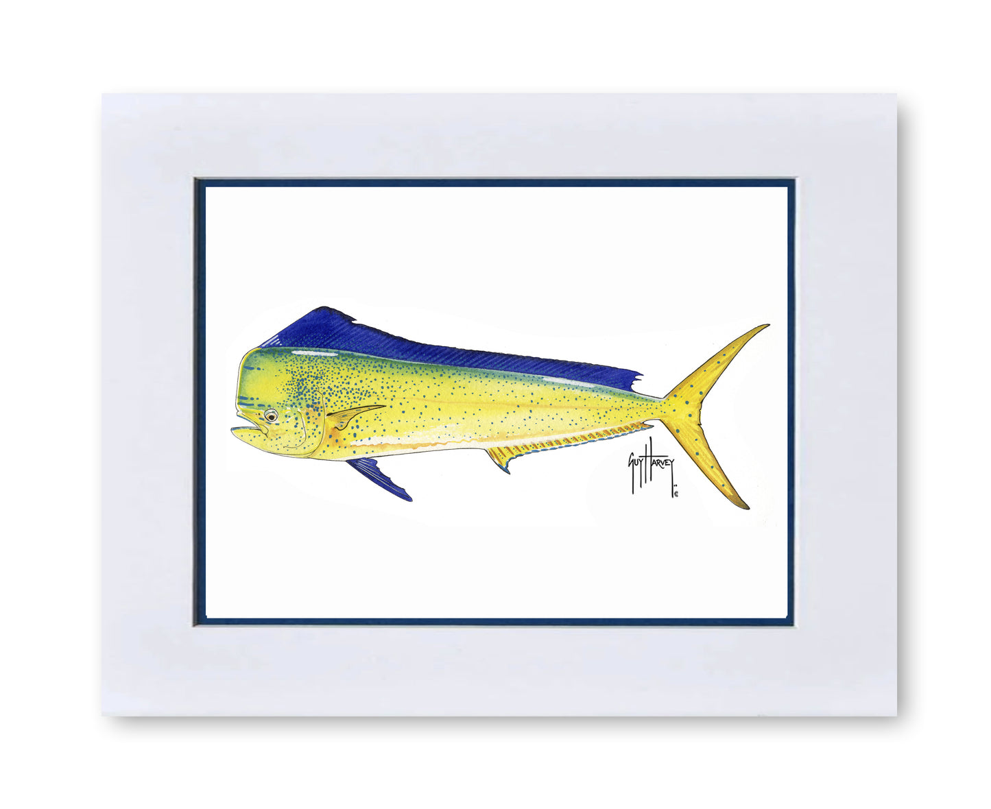 "Bull Dolphin" Grande Mini Print