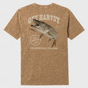 A brown, mineral-wash short-sleeve t-shirt shown from the back, featuring a large graphic print of a northern pike fish with the text 'GUY HARVEY' and 'FRESHWATER FIGHTER'.
