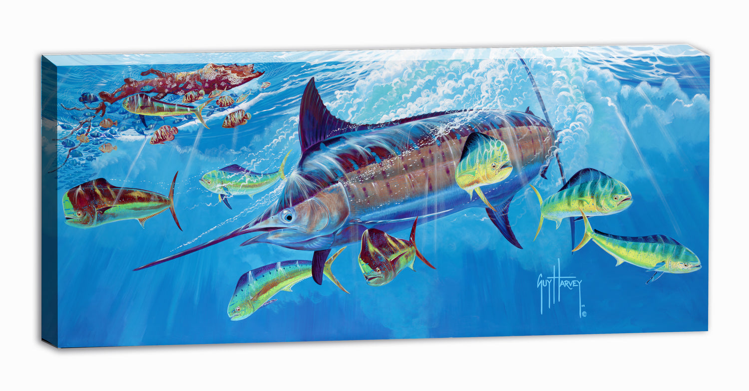 Canvas Wall Art: Marine Wildlife & Fish Art