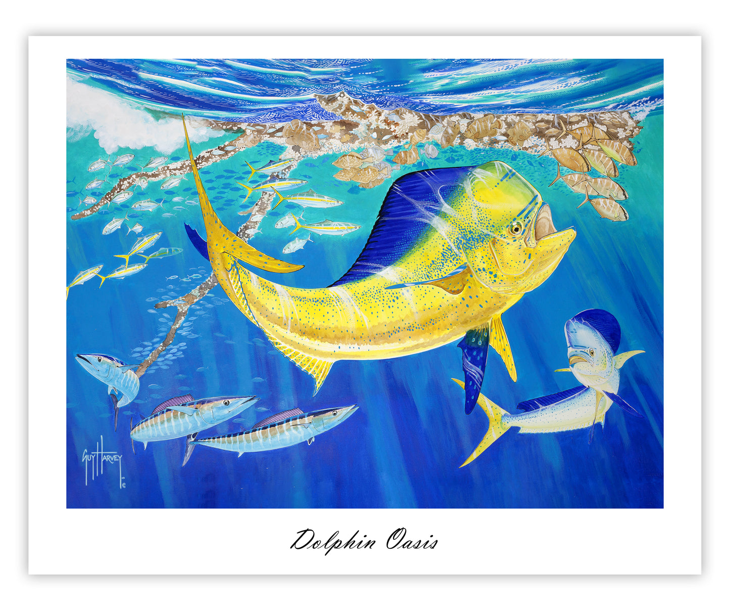 "Dolphin Oasis" Limited Edition Lithograph