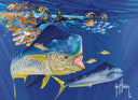"Dolphin Summer" Limited Edition Print