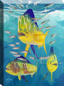 "Dolphin Trio" Small Canvas Art