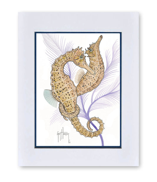 "Seahorse Pair" Mini Print