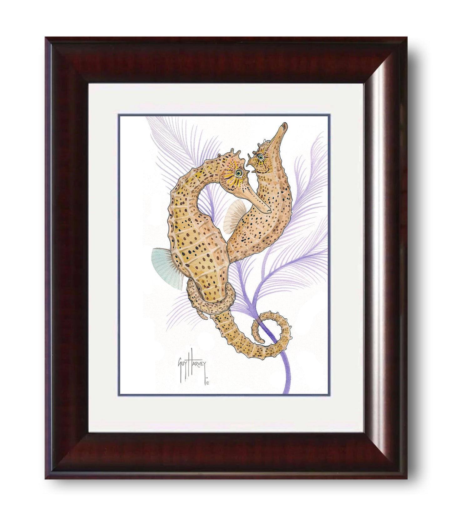 "Seahorse Pair" Mini Print