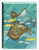 "Dual Stingrays" Small Canvas Art
